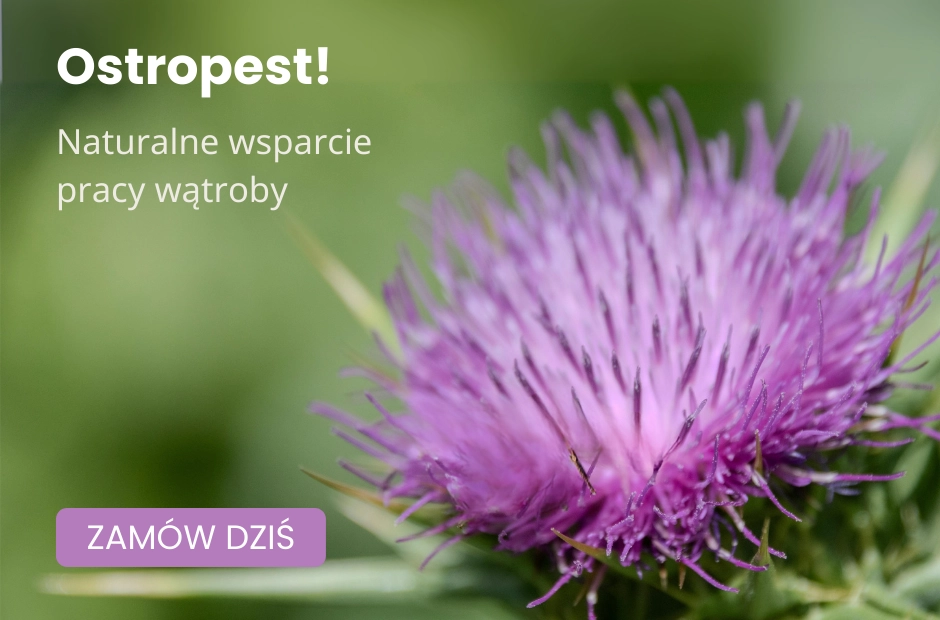 Ostropest - naturalne wsparcie pracy wątroby